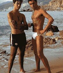 Publius Beach Boys 33 Gay Porn Tube 60ca0e243a692.jpg