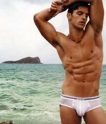 Publius Beach Boys 33 Gay Porn Tube 60ca0eab54e89.jpg