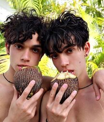 Publius Boys Cooking Eating Drinking 14 Gay Porn
