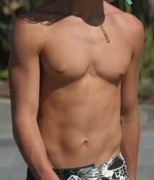 Publius Beach Boys 34 Twink Tube Shirtless 611363145d691.jpg