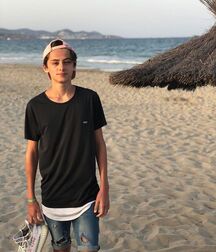 Publius Beach Boys 42 Twink Tube 615a53d3bfea8.jpg