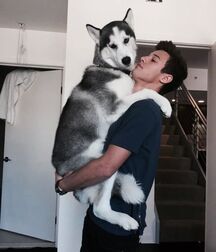 Publius Boys With Pets 2 Twink Tube Yes 617e76e51cef9.jpg