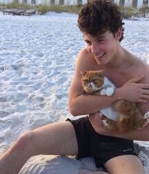 Publius Boys With Pets 2 Twink Tube Yes 617e76eec06b6.jpg