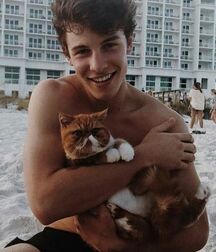 Publius Boys With Pets 2 Twink Tube Yes