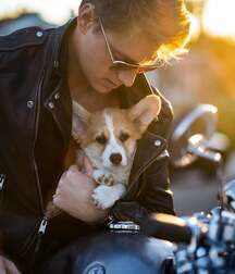 Publius Boys With Pets 2 Twink Tube Yes 617e7736dc93a.jpg
