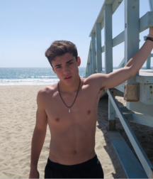 Publiius Beach Boys 45 Summer Sun Twink Porn 61b9ee07b00e7.png