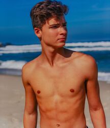 Publiius Beach Boys 45 Summer Sun Twink Porn 61b9ee6c0dfe2.jpg