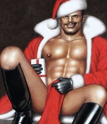 Publius Christmas Time 2021 Gay Porn Guys 61c87da511afb.jpg