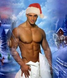 Publius Christmas Time 2021 Gay Porn Guys 61c87f44d6205.jpg