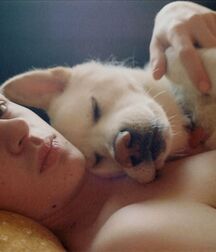 Publius Boys With Pets 3 Best Cute Twink Tube 61d2f605c61ca.jpg