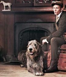 Publius Boys With Pets 3 Best Cute Twink Tube 61d2f60b97e32.jpg