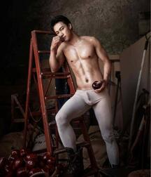 Publius The Apple Picker Gay Porn 62041021e2404.jpeg