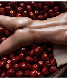 Publius The Apple Picker Gay Porn 6204103c0c501.jpeg
