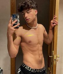Publius Boys Selfies 76 Image Mirror Twink Tube 623f893ed7a8b.jpg