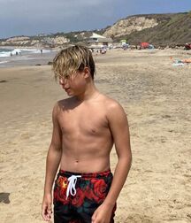 Publius Beach Boys 50 Outdoors Sunshine Twink Tube 62726cabf39fa.jpg