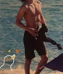 Publius Beach Boys 50 Outdoors Sunshine Twink Tube 62726cd4c251f.jpg