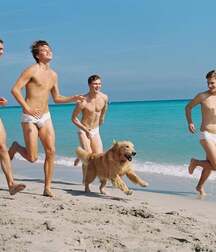 Publius Beach Speedo Boys 13 Summer Swim Ripped Sunny 62856e9d65dda.jpg