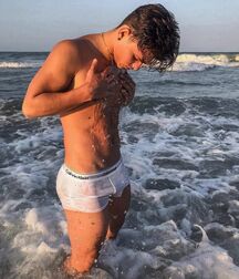 Publius Beach Boys 52 Summer Vacation Twink Tube 62c0698a94b63.jpg