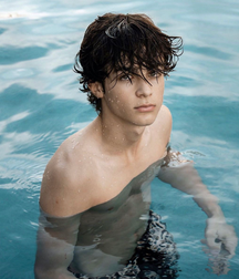 Publius Beach Boys 52 Summer Vacation Twink Tube 62c069ab286ca.png