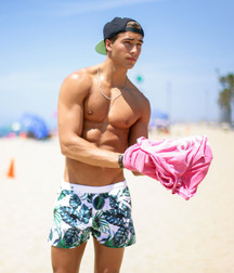 Publius Beach Boys 52 Summer Vacation Twink Tube 62c069cb39f8c.jpg
