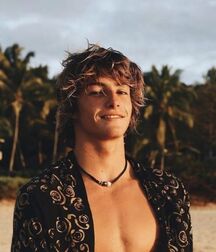 Publius Beach Boys 52 Summer Vacation Twink Tube 62c06a418b5dd.jpg
