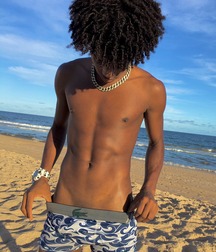 Publius Beach Boys 52 Summer Vacation Twink Tube 62c06a515c9b0.jpg