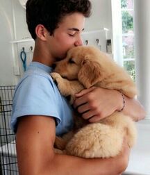 Publius Boys With Pets 4 Twinks Love 6303f2fd0e25a.jpg