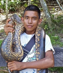 Publius Boys With Pets 4 Twinks Love 6303f41761099.jpg