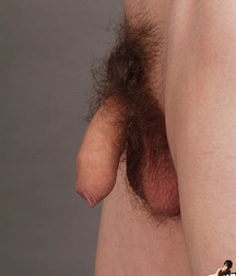 Soccer Player Gay Porn 60af9d94d8c22.jpg