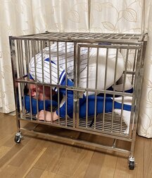 Soccer Bondage Twink Gay Porn 60e37db0c47e0.jpeg