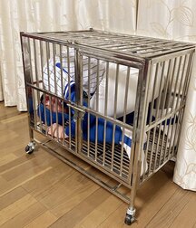 Soccer Bondage Twink Gay Porn 60e37db47a2d0.jpeg