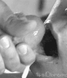 Horny boys straight cocks gay porn 622c5140dc992.gif