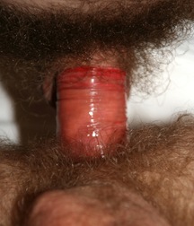 Adi & Anatol Gay Tube 60b5eae85b512.jpg