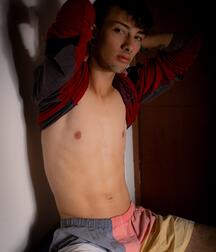 gay porn tubes hot solo 60e86b9e51505.jpg
