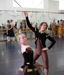a little culture 56bf42469728e.jpg