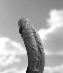 random images 56bfa175808bc.jpg