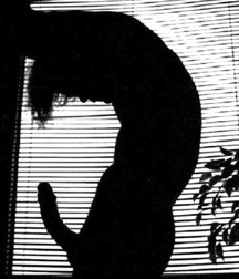 random images 56bfa176096c2.jpg