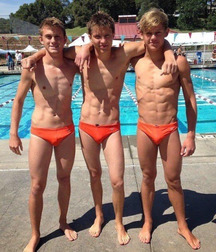 swimming buddies 56bfa6ab49eac.jpg