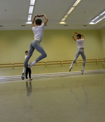 private dancers 56d45279a9365.jpg