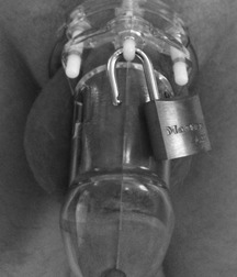 plastic penis prisons 56e4d1c065d4b.jpg