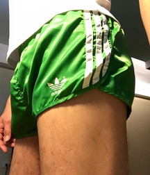 shorties shorts 570a4203eaeb5.jpg