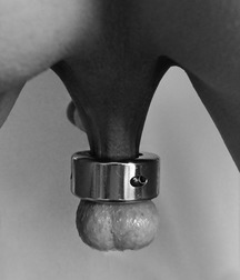 banded 571505569a344.jpg