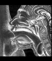 art sampler 5727680c002c2.jpg