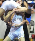 grapplers 57390ceea0000.jpg