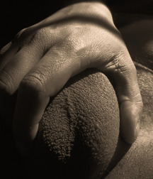 man tools 577a4f7669488.jpg
