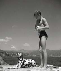 summer heat 57824673b98b7.jpg