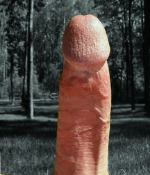 fill the screen 578793bc9434f.jpg