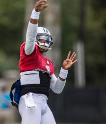 gridiron bulges 578981a1d70a1.jpg