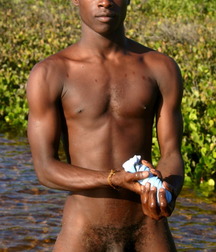 shaven blacks and latinos  578f8981a649a.jpg
