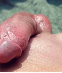 waxed weiners 578f89c36c03b.jpg